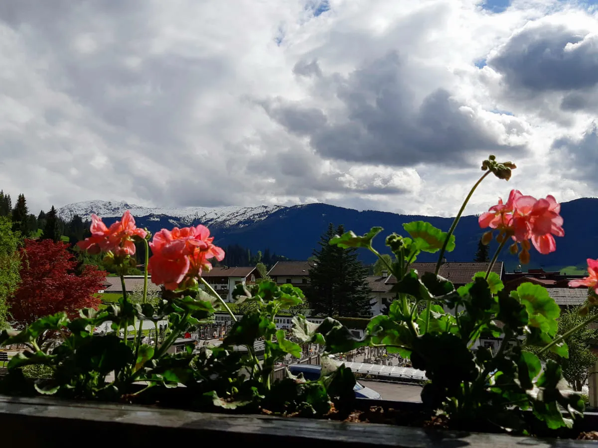 Aussicht von der Terrasse mit blühenden Blumen und bergigen Landschaften im Hintergrund.
